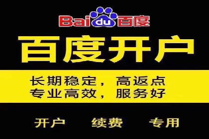 成功案例：百度推广一个月，如何实现品牌飞跃